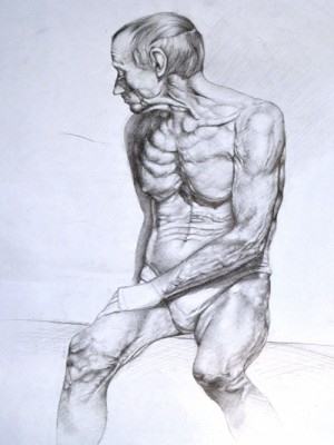 Anatomi Sanat Evi'nde Canlı Modelden Anatomi Çizimleri Anatomi Sanat